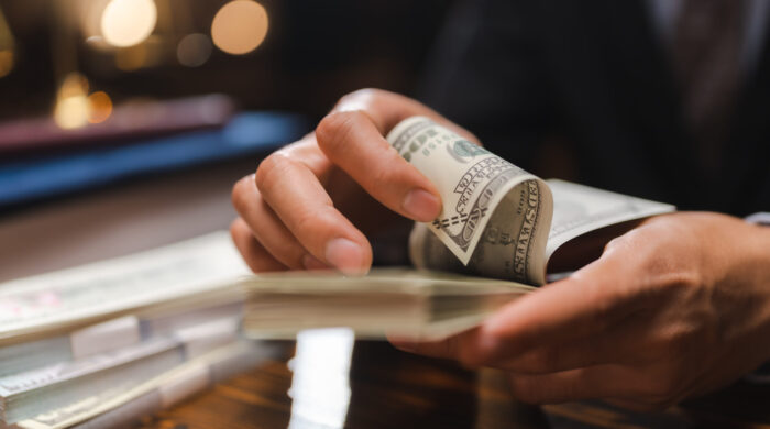 Business Hands Holding Dollar Bank, Bookkeeper Financial Inspector Checking A Money