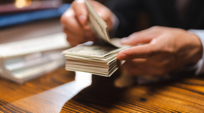 Business Hands Holding Dollar Bank, Bookkeeper Financial Inspector Checking A Money